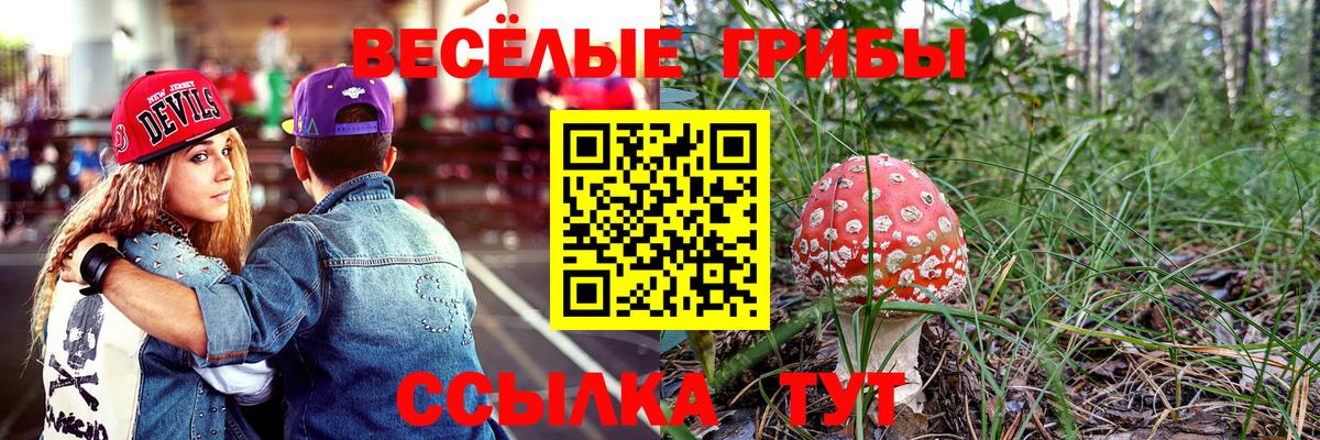 Галлюциногенные грибы мицелий Бийск
